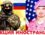 Комментарии иностранцев о России